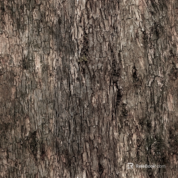bark texture