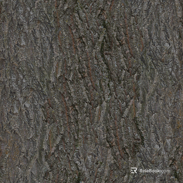 bark texture