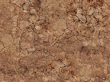 Soil Sandy Ground texture (ID:ffach836514)
