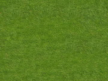 ground grass lawn turf plants sand texture (ID:ffach680774)