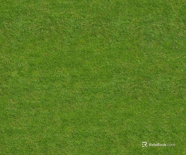 ground grass lawn turf plants sand texture
