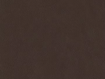 fine grain leather texture (ID:ffagg49685)