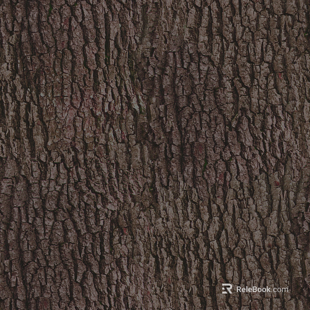 ancient tree bark texture