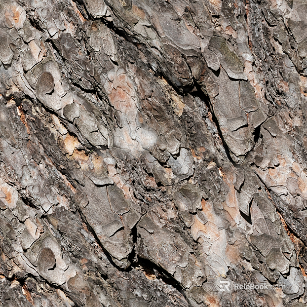 bark trees wood grain texture