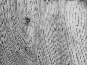 Wood grain cement gray decorative panel texture (ID:ffaag36905)