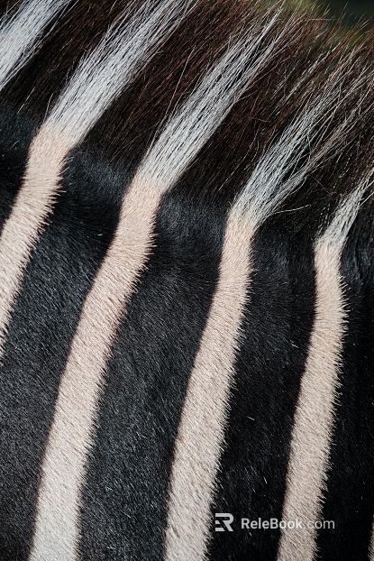 animal fur texture