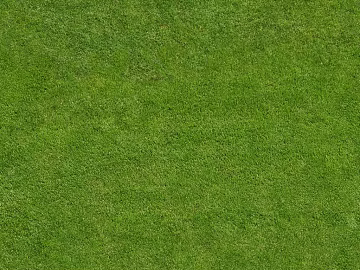 Turf texture (ID:ffabg76576)
