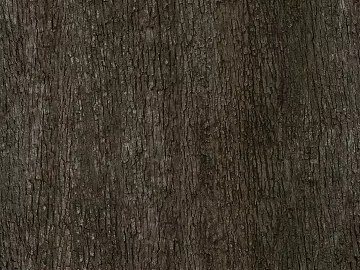ancient tree bark texture (ID:ffhee270)