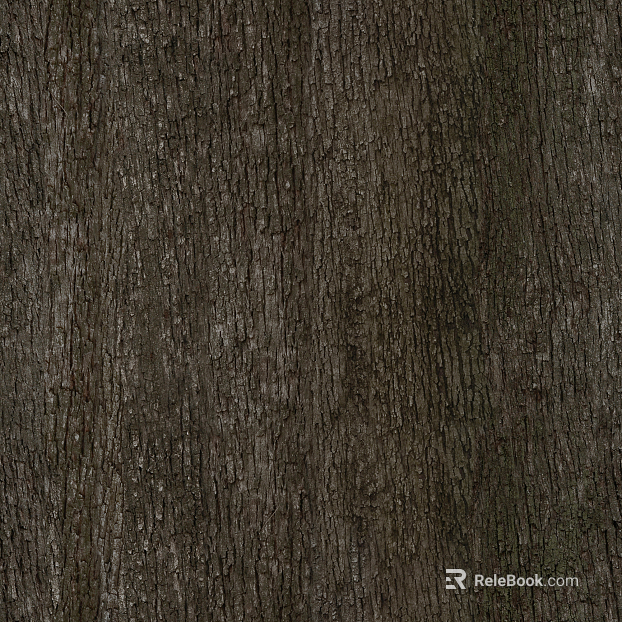 ancient tree bark texture