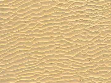 Sand texture (ID:ffach263003)