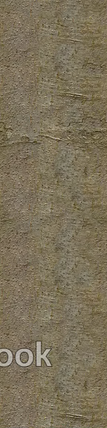 bark texture