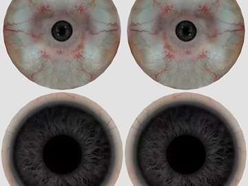 Eyes texture (ID:ffagg16373)