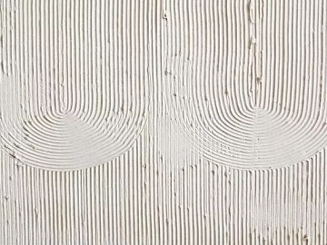 diatom mud texture (ID:ffach081306)