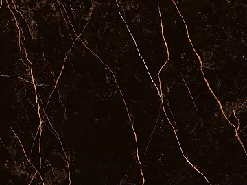 Italian Black Golden Flower Marble Rock Slab texture (ID:ffach531475)
