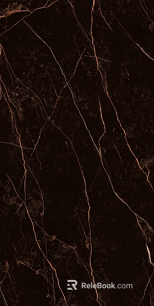 Italian Black Golden Flower Marble Rock Slab texture