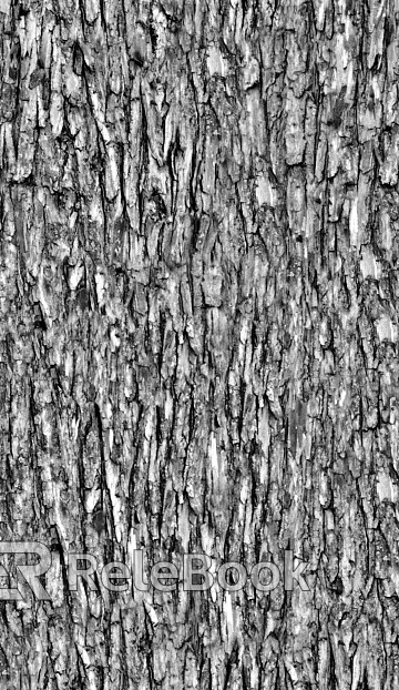 bark texture