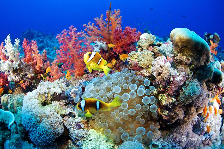 Fish tank texture