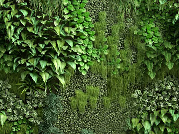 Plants texture (ID:ffaif5931)