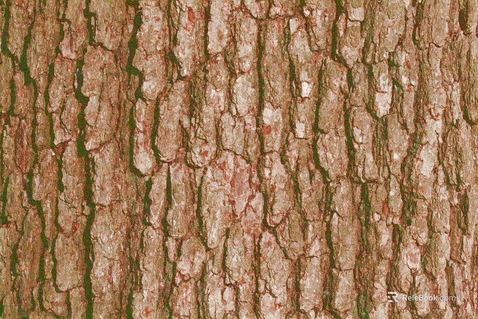 bark texture