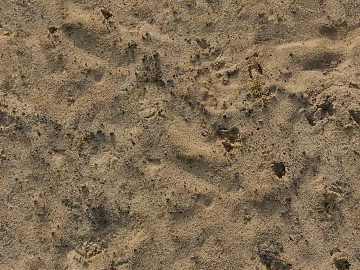 Sand texture (ID:ffaag56875)