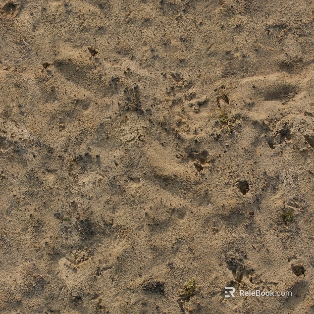 Sand texture