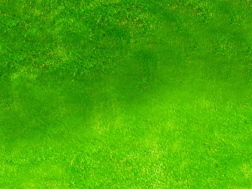 Turf texture (ID:ffaeg14602)