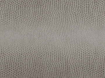 animal skin texture (ID:ffaeg39002)