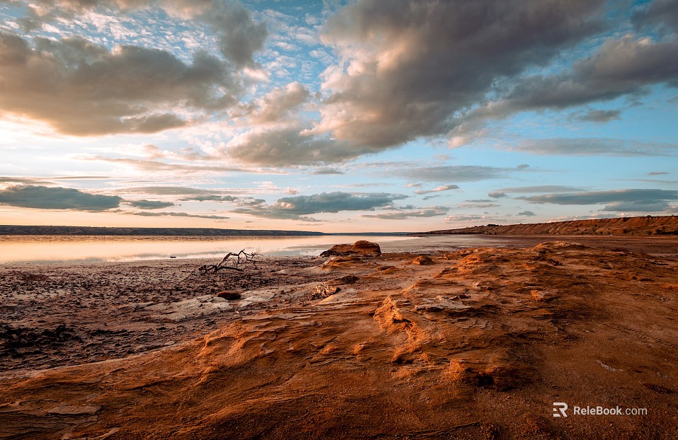 Wild Scenery texture