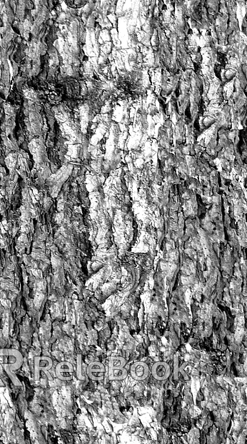 Black and White Bump texture