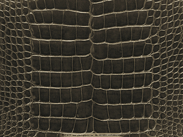 animal skin texture (ID:ffaag03091)