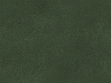 fine grain leather texture (ID:ffajg62046)