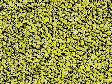 Coarse carpet texture (ID:ffabg81958)