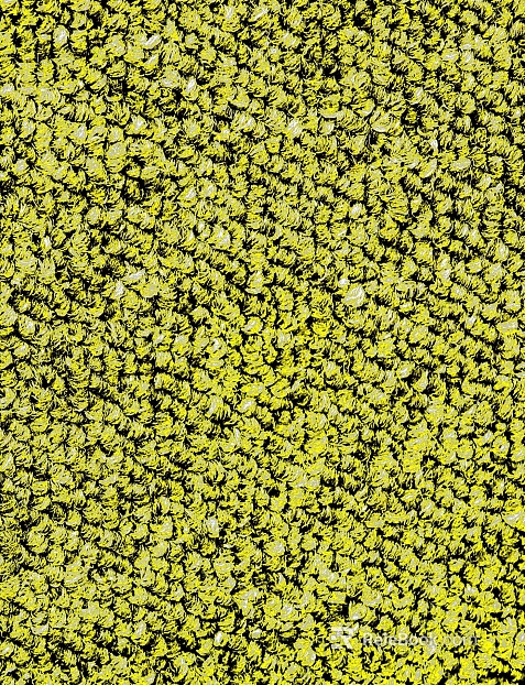 Coarse carpet texture