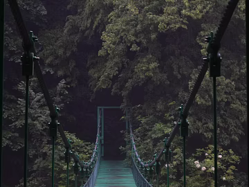 Bridge texture (ID:ffagg53558)