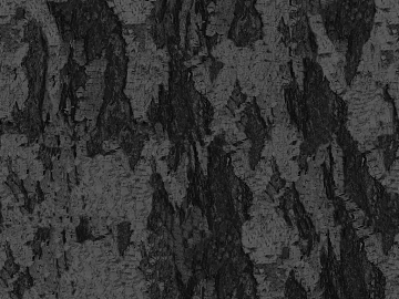 bark texture (ID:ffagg86374)