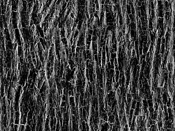 Black and White Bump Wood Grain Black and White Bump texture (ID:ffach944104)