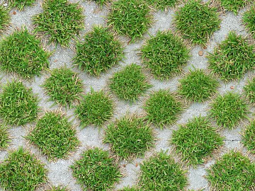Concrete Grass Planting Grass Pavement texture (ID:ffaeh549714)