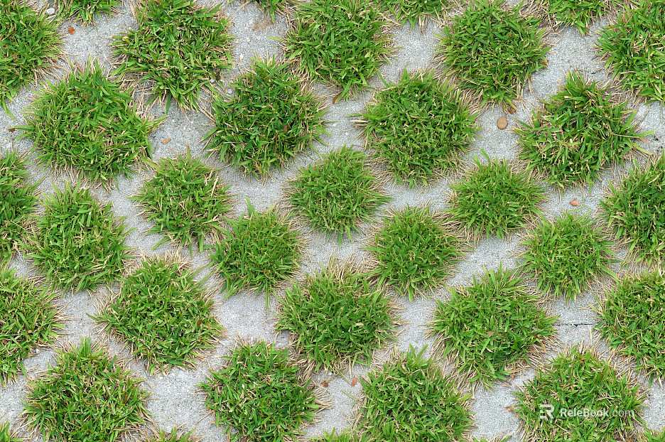 Concrete Grass Planting Grass Pavement texture