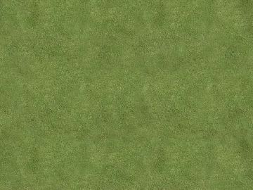 Turf texture (ID:ffach245506)
