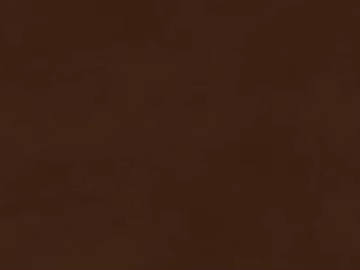fine grain leather texture (ID:ffacg48845)