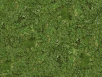 moss texture (ID:ffaff9557)