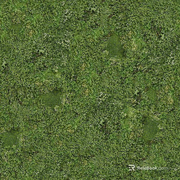 moss texture