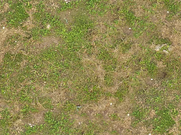 Turf texture (ID:ffaeg03099)