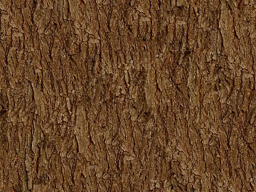bark texture (ID:ffagg39602)