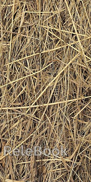 Thatched roof texture