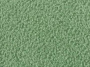Teddy velvet lamb green 3d model