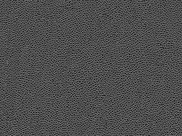 Black and white leather texture (ID:ffacg27966)