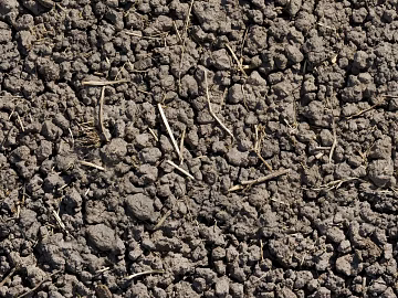 Mud ground texture (ID:ffaaf0294)