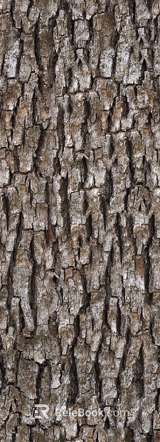 bark texture