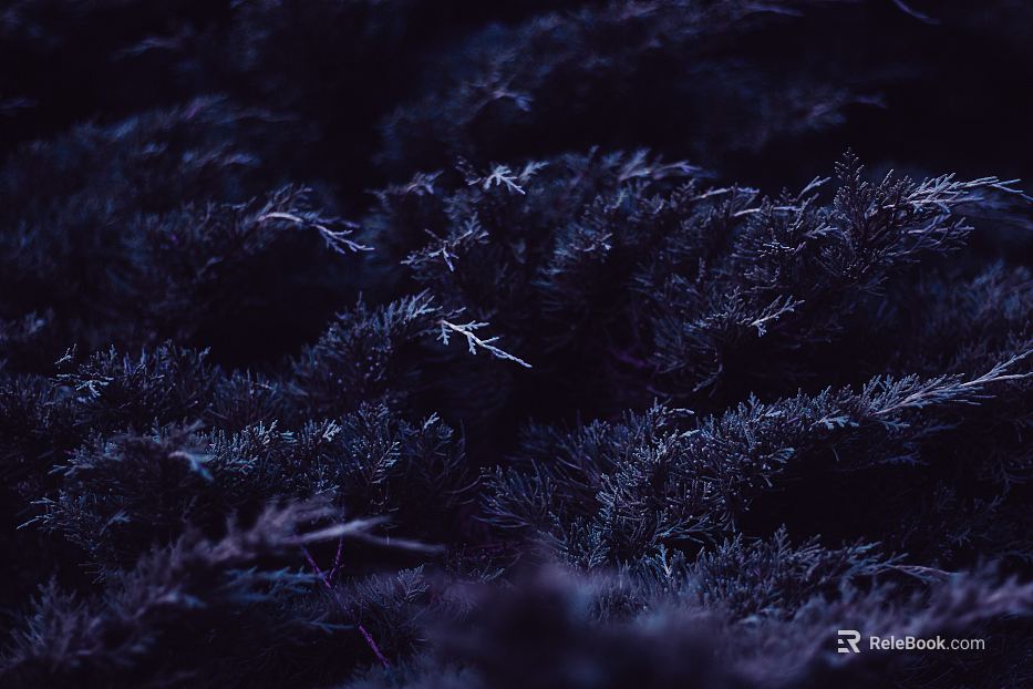 Plants texture